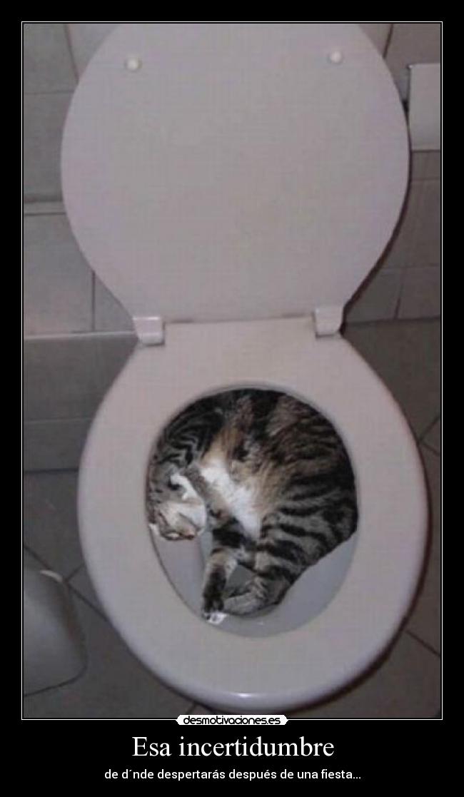 Esa incertidumbre - de d´nde despertarás después de una fiesta...