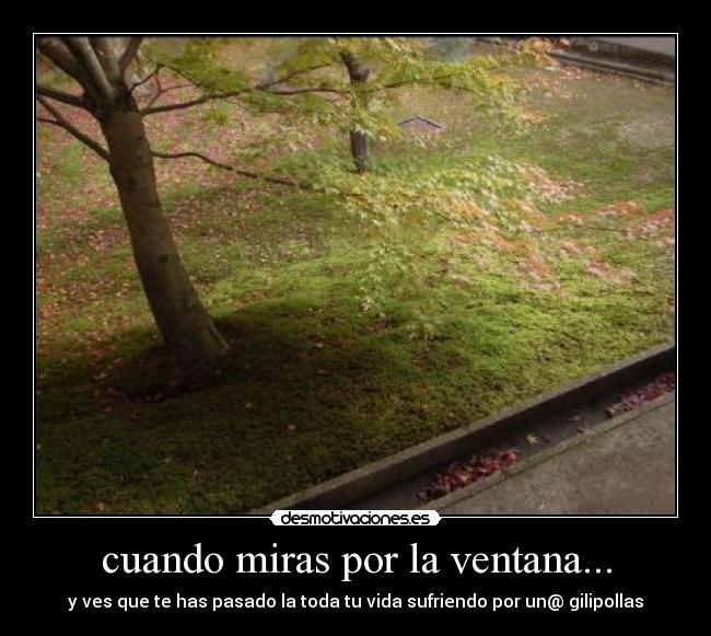 cuando miras por la ventana... -