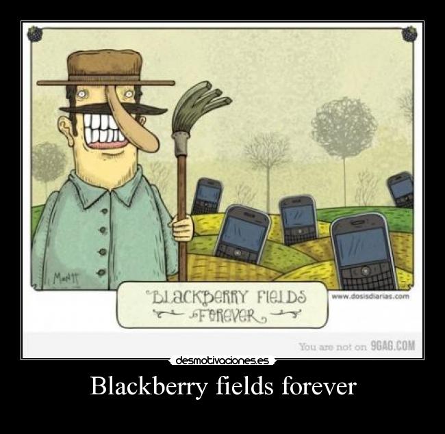 Blackberry fields forever - 