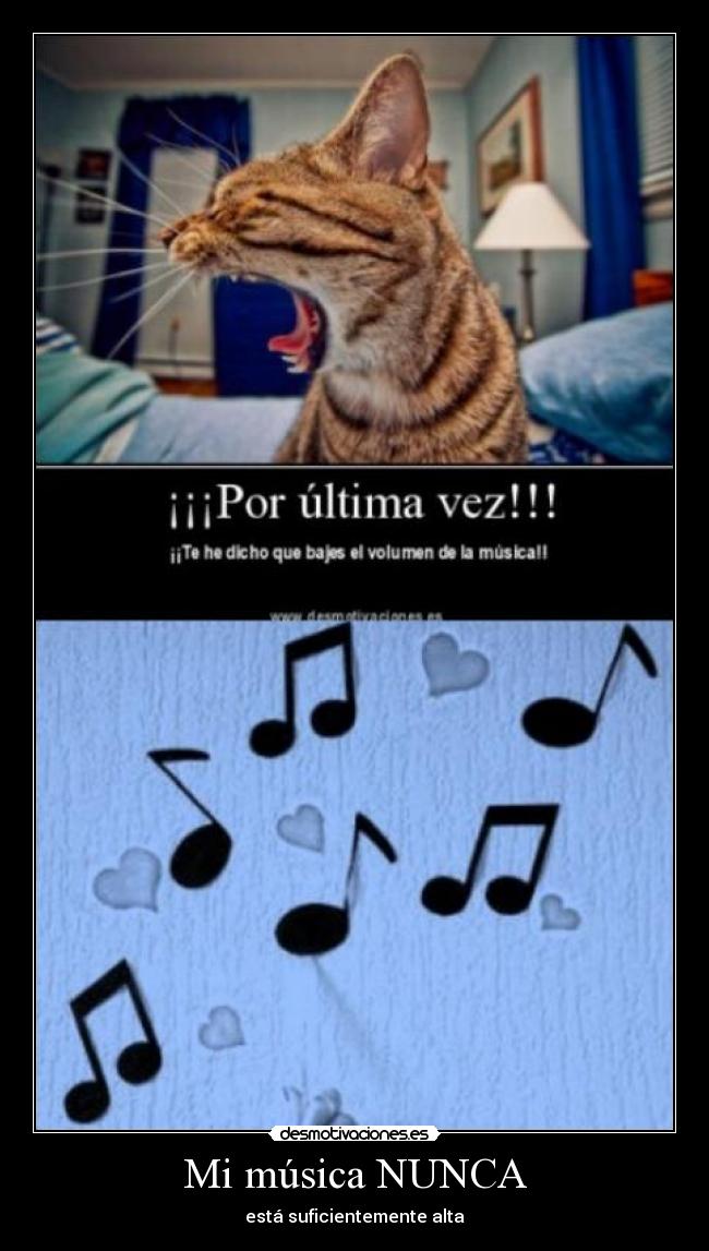 Mi música NUNCA - está suficientemente alta