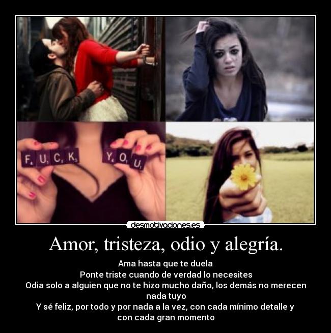 Amor, tristeza, odio y alegría. - Ama hasta que te duela
Ponte triste cuando de verdad lo necesites
Odia solo a alguien que no te hizo mucho daño, los demás no merecen
nada tuyo
Y sé feliz, por todo y por nada a la vez, con cada mínimo detalle y
con cada gran momento