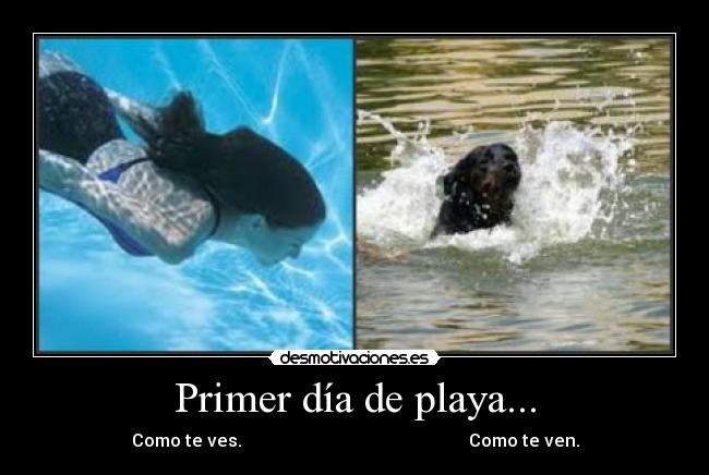 Primer día de playa... - 