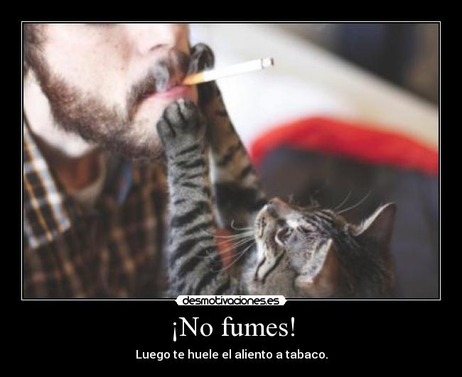 ¡No fumes! -