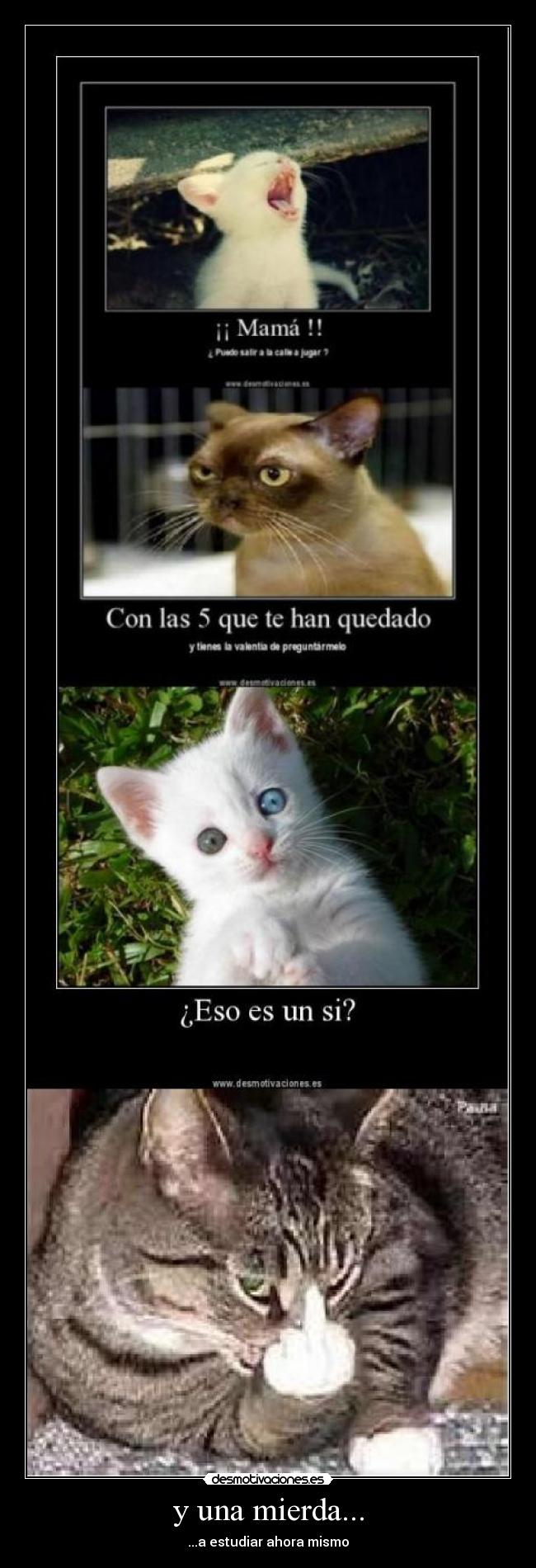 y una mierda... - ...a estudiar ahora mismo