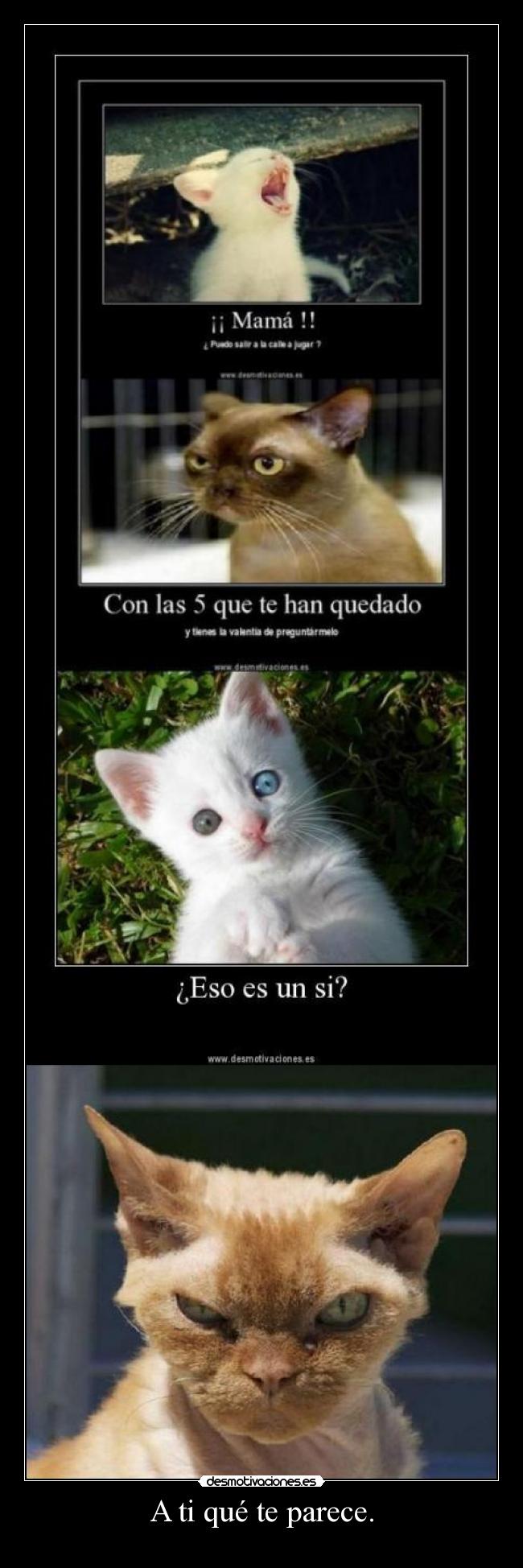 A ti qué te parece. - 