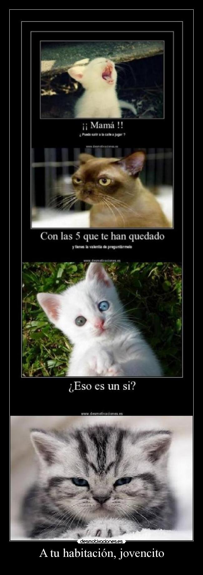 A tu habitación, jovencito -