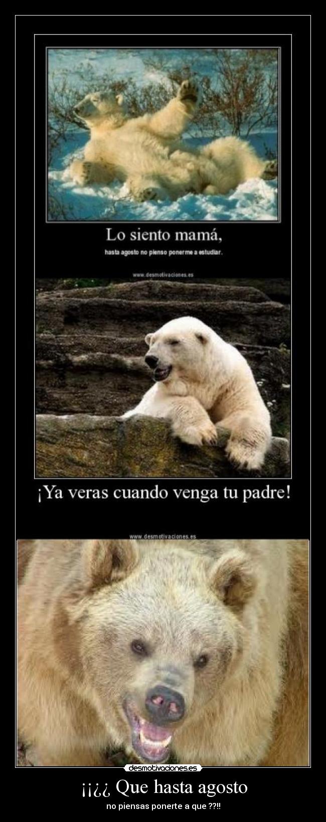 ¡¡¿¿ Que hasta agosto -