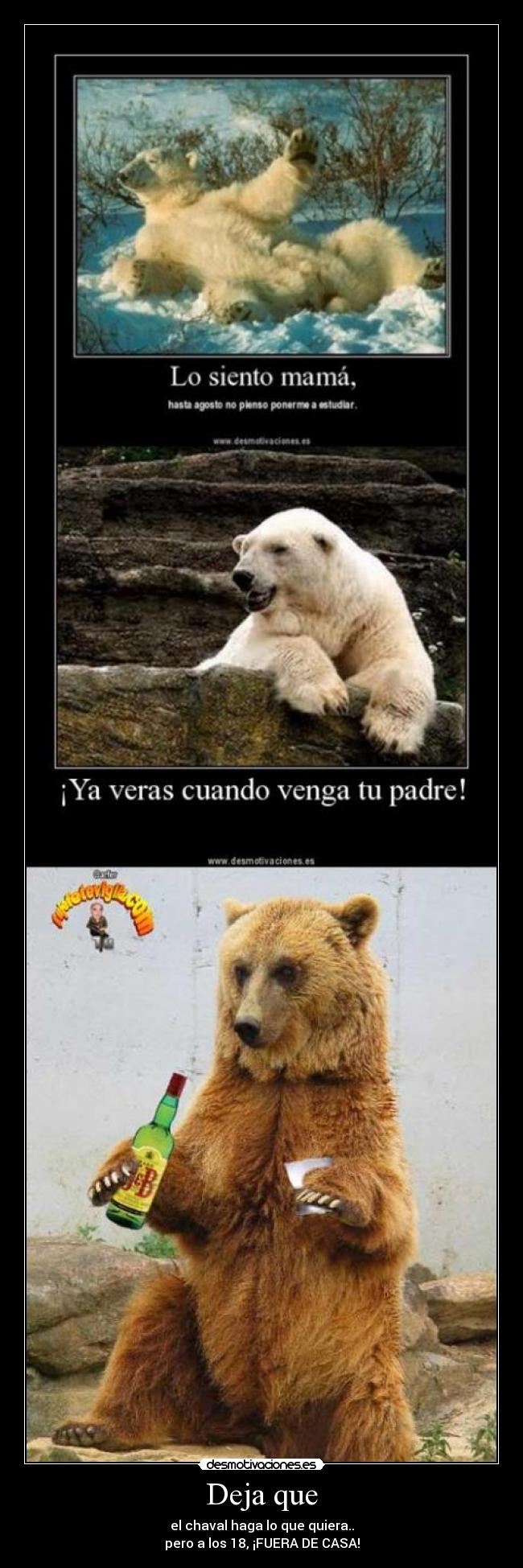 carteles trhntyj desmotivaciones