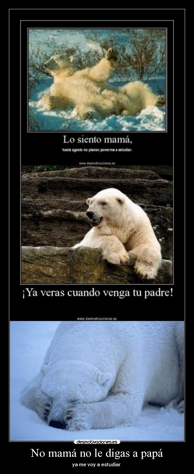 No mamá no le digas a papá -