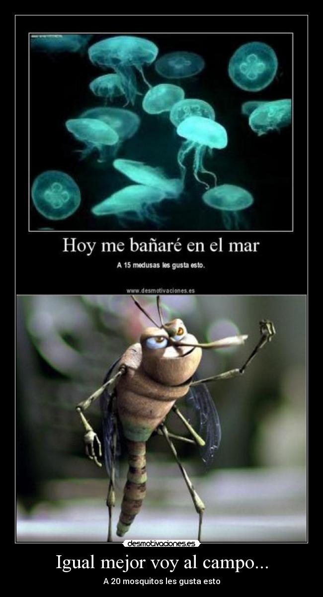 Igual mejor voy al campo... -