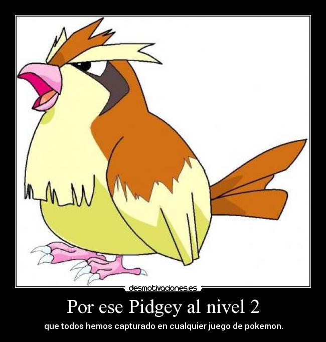 Por ese Pidgey al nivel 2 -