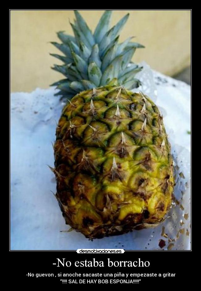 -No estaba borracho - -No guevon , si anoche sacaste una piña y empezaste a gritar
“!!!! SAL DE HAY BOB ESPONJA!!!!!“