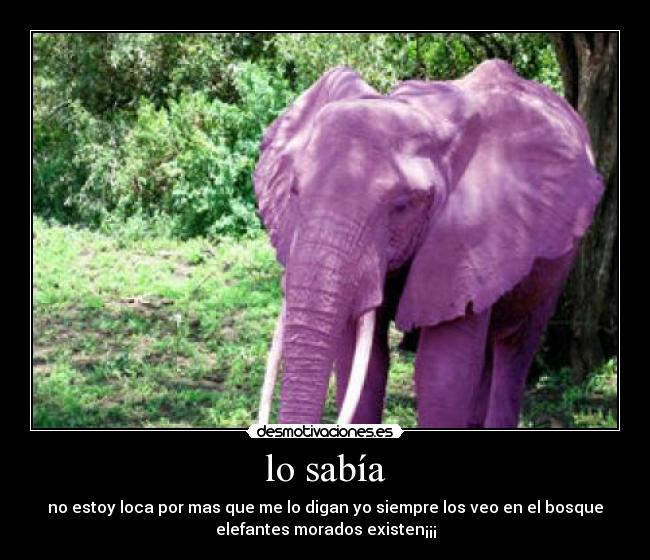 lo sabía - no estoy loca por mas que me lo digan yo siempre los veo en el bosque
elefantes morados existen¡¡¡