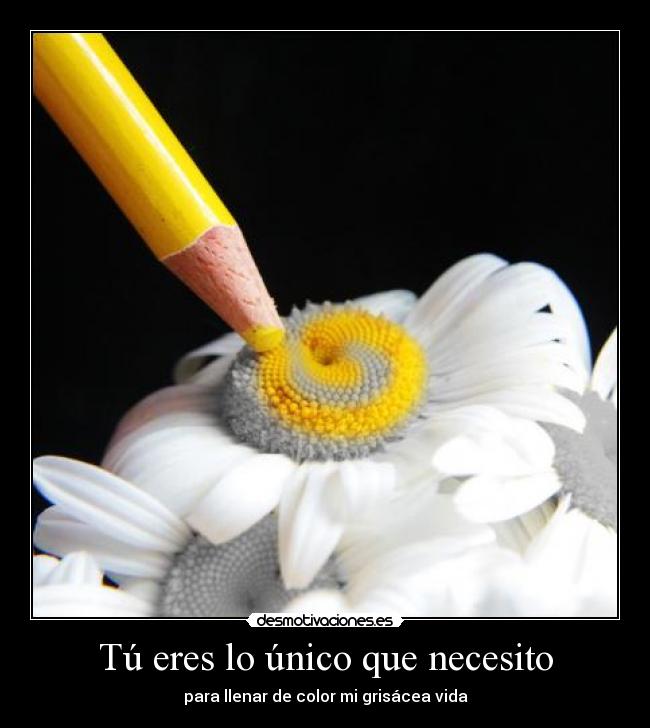 Tú eres lo único que necesito -