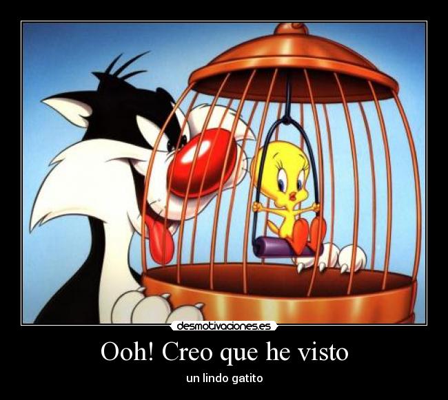 Ooh! Creo que he visto - un lindo gatito