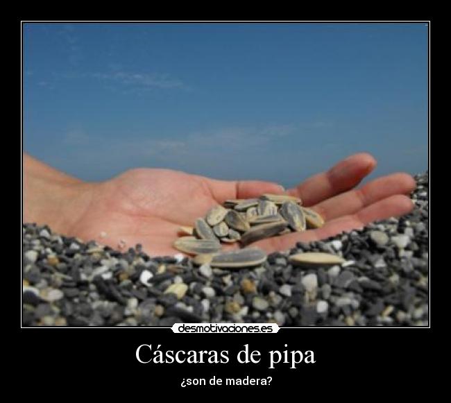Cáscaras de pipa - ¿son de madera?