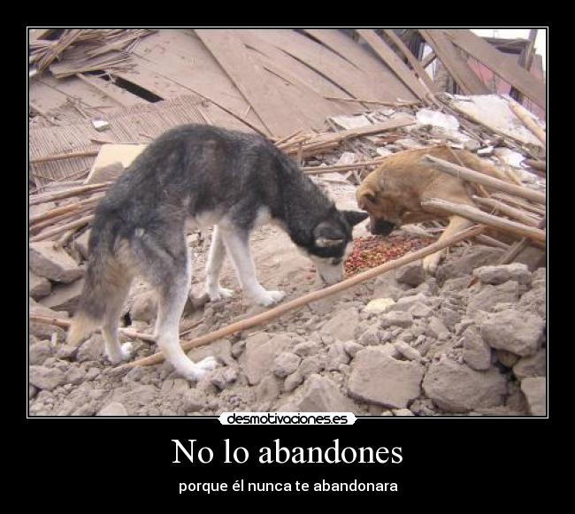 No lo abandones - 