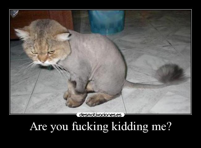 Are you fucking kidding me? -