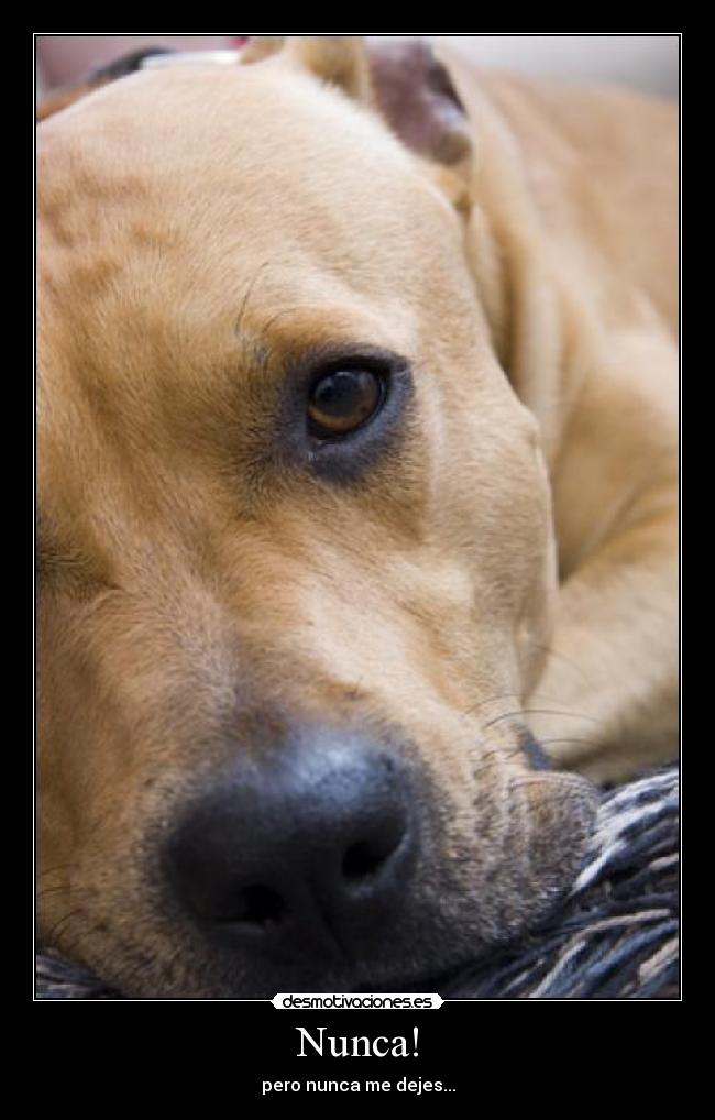 Nunca! - pero nunca me dejes...
