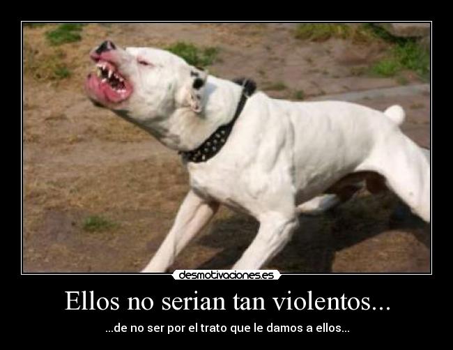 carteles pitbull furioso perros violentos tratos malos desmotivaciones