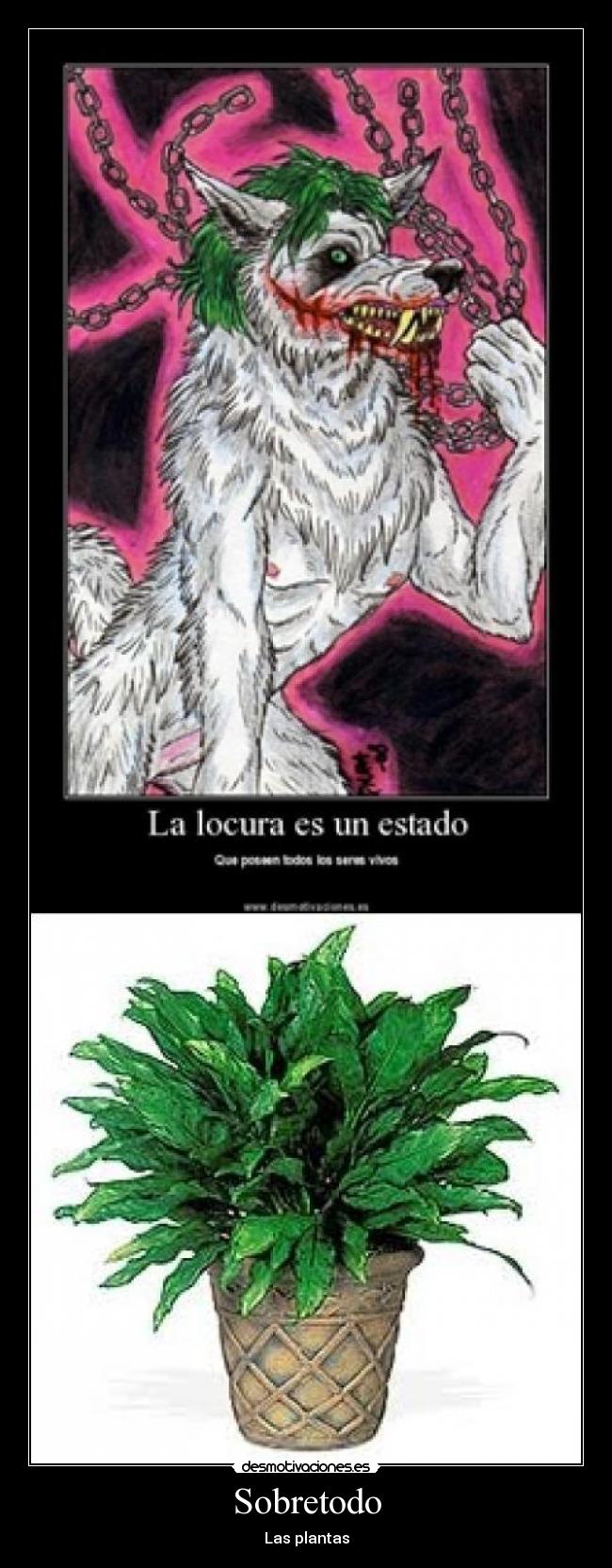 Sobretodo - Las plantas