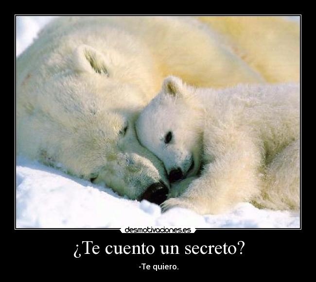 ¿Te cuento un secreto? - -Te quiero.