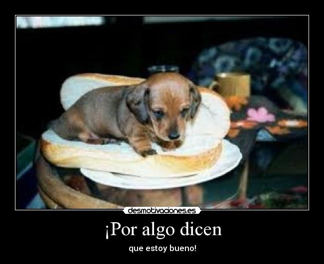 ¡Por algo dicen -
