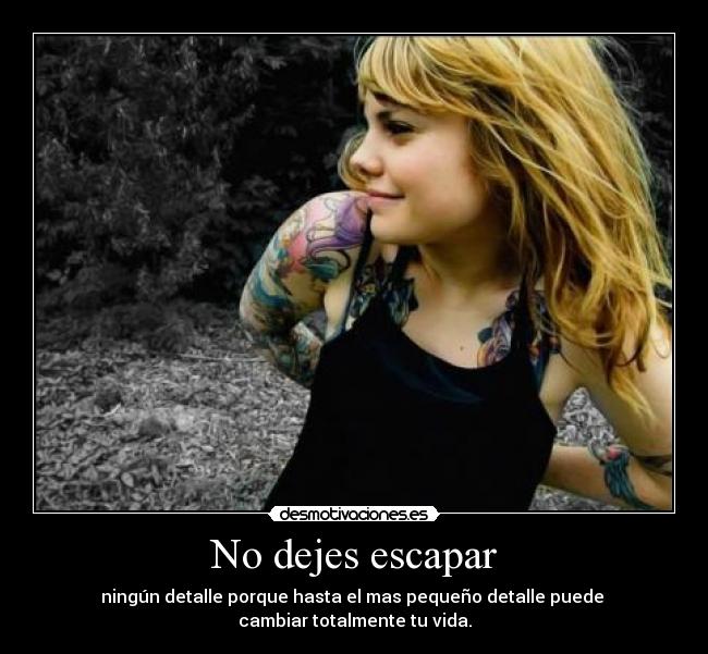 carteles dejes escapar detalle caviar vida desmotivaciones