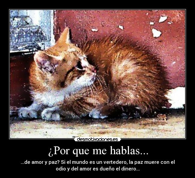 ¿Por que me hablas... - 