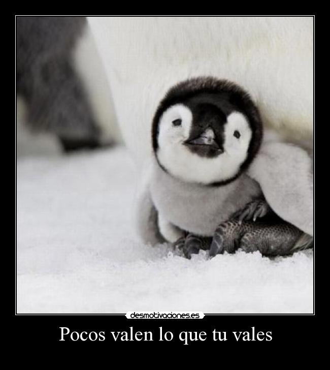 Pocos valen lo que tu vales - 