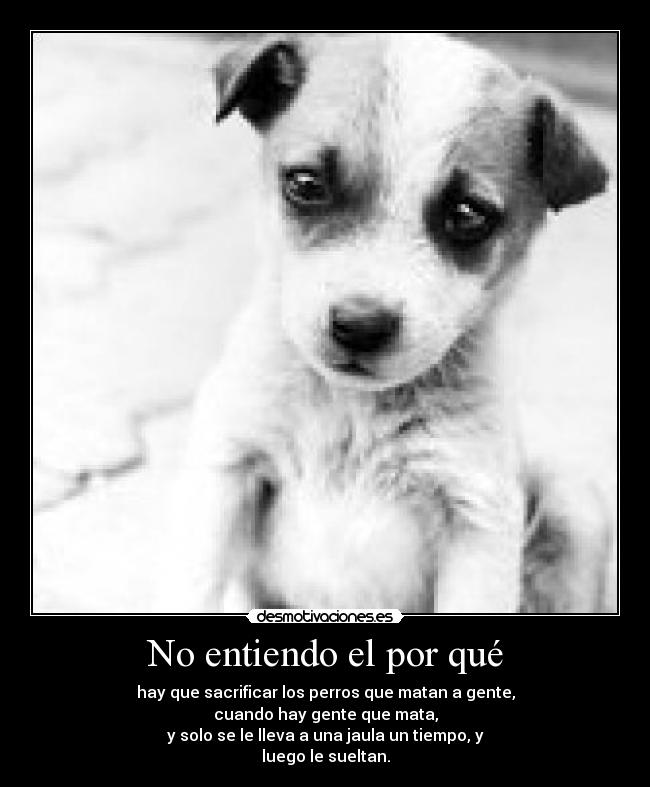 No entiendo el por qué - 