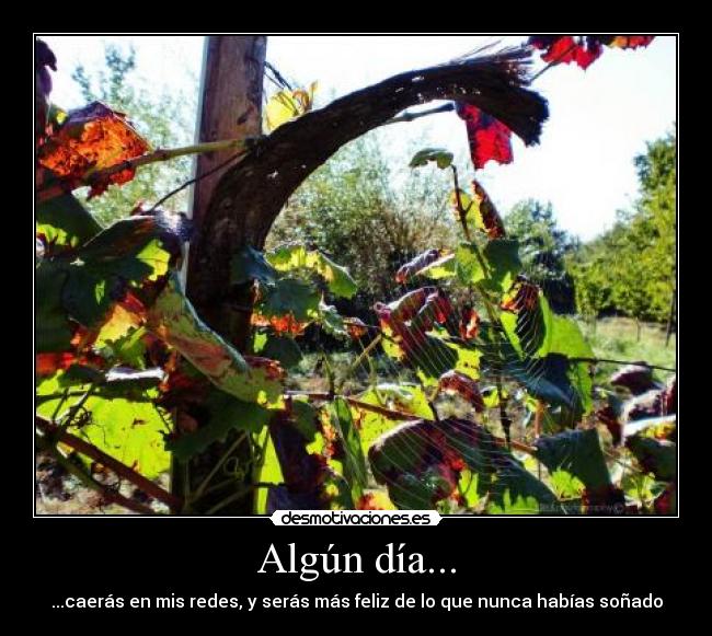 Algún día... - 