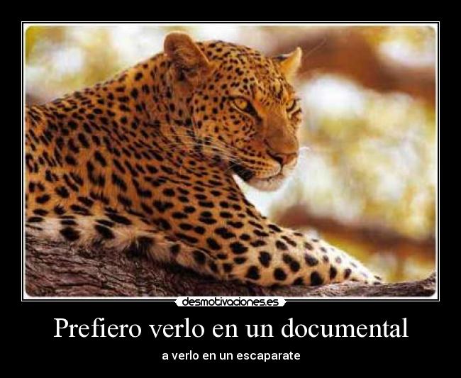 carteles er_xaxomigue desmotivaciones