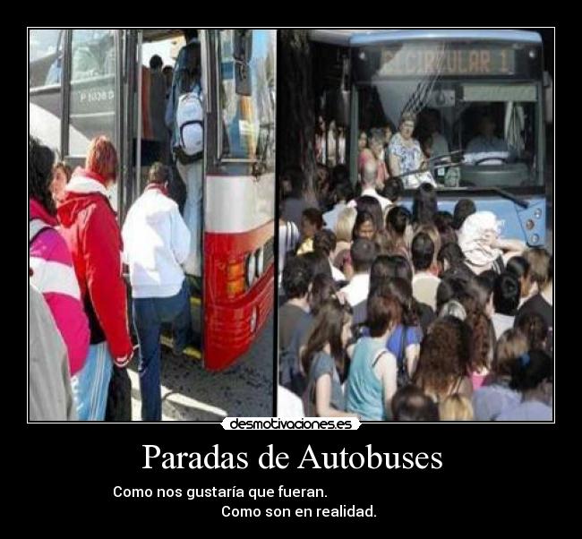 carteles dayana desmotivaciones