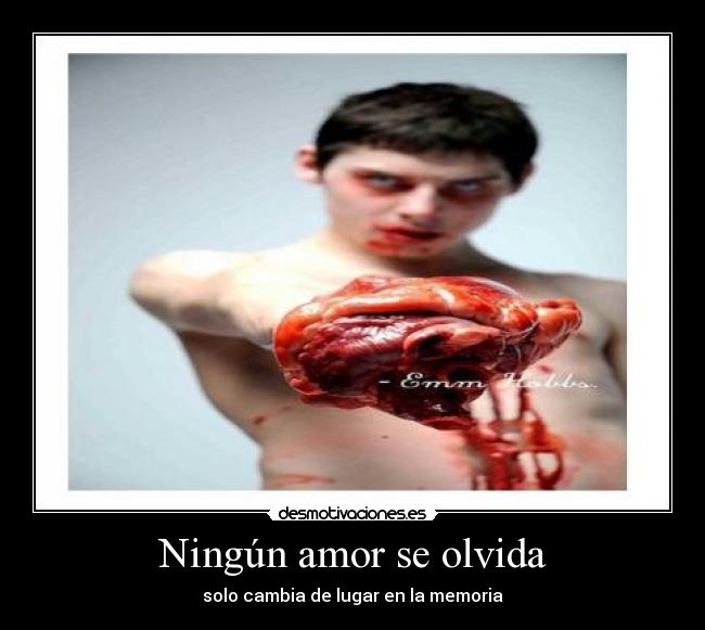 Ningún amor se olvida - solo cambia de lugar en la memoria