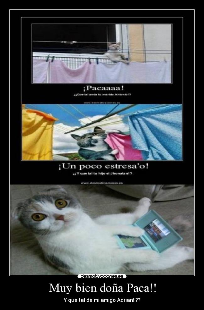 Muy bien doña Paca!! - Y que tal de mi amigo Adrian!!??