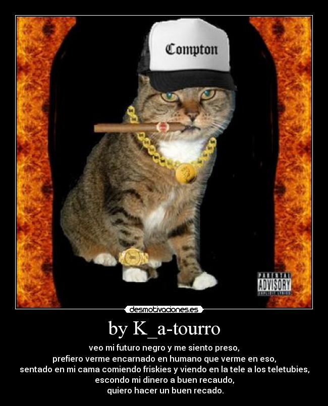 by K_a-tourro - veo mi futuro negro y me siento preso,
prefiero verme encarnado en humano que verme en eso,
sentado en mi cama comiendo friskies y viendo en la tele a los teletubies,
escondo mi dinero a buen recaudo,
quiero hacer un buen recado.