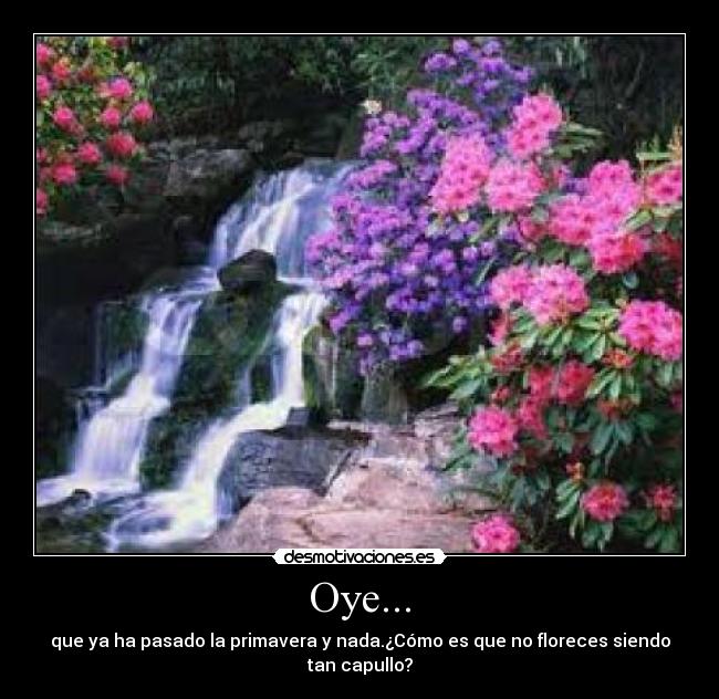 Oye... -