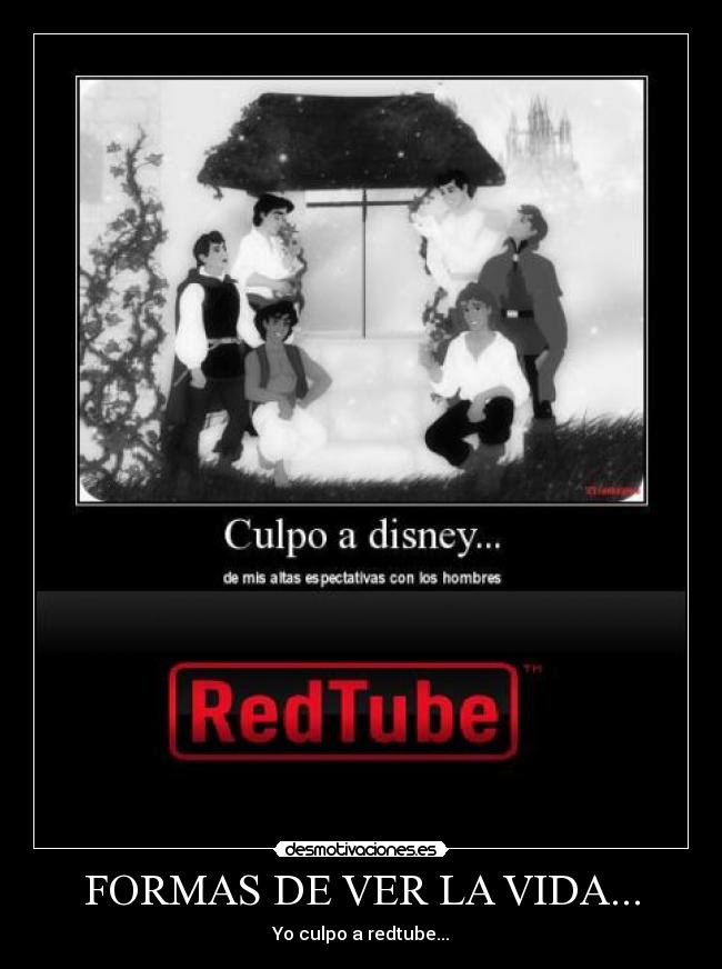 FORMAS DE VER LA VIDA... -