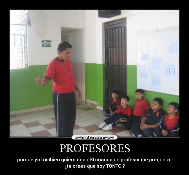 PROFESORES - 