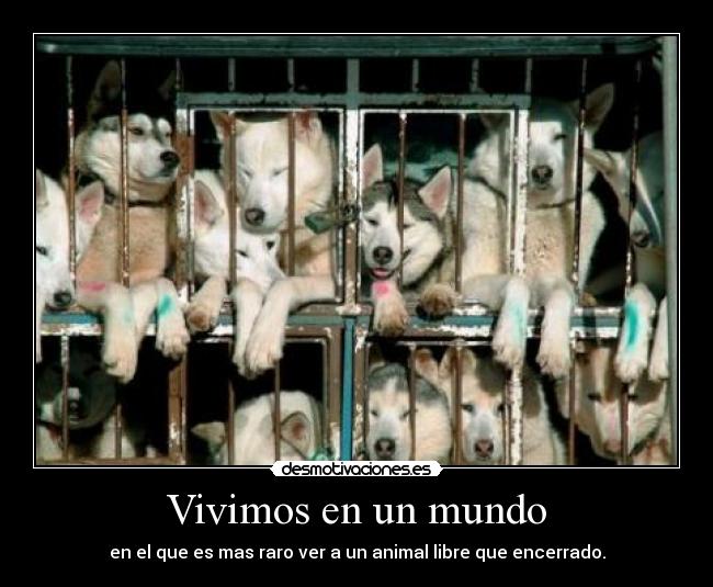 Vivimos en un mundo -