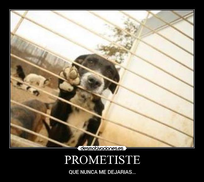 PROMETISTE - 