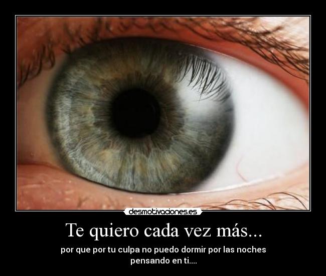 CADA VEZ TE QUIERO MAS cada vez te quiero mas: