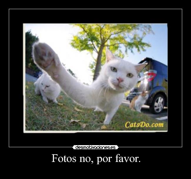 Fotos no, por favor. - 