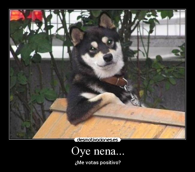 Oye nena... - ¿Me votas positivo?