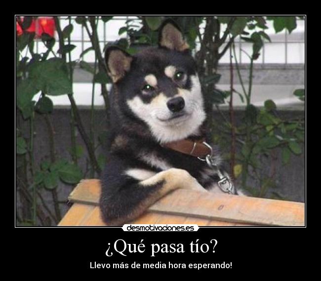 ¿Qué pasa tío? - Llevo más de media hora esperando!