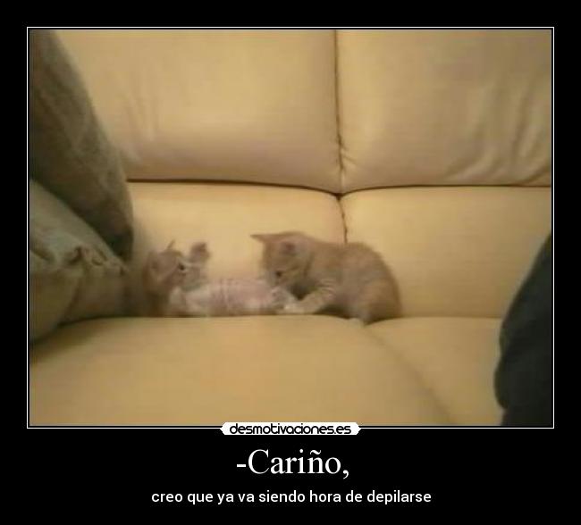 -Cariño, - 