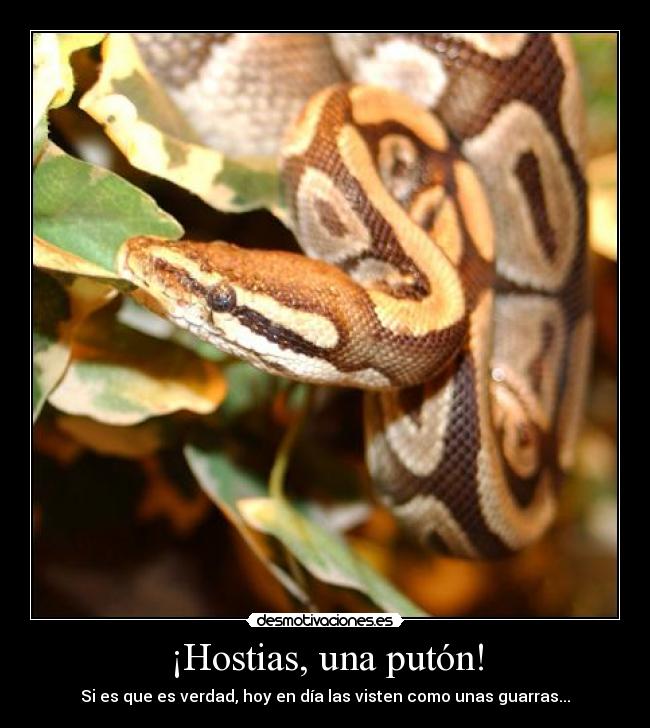 ¡Hostias, una putón! - 