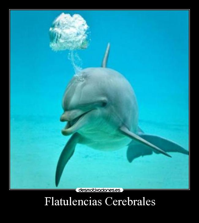 Flatulencias Cerebrales - 