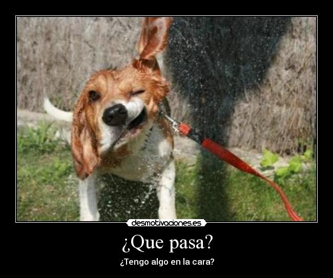 ¿Que pasa? - 